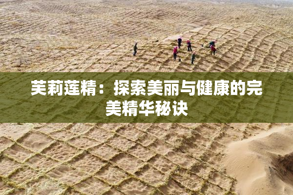 芙莉莲精：探索美丽与健康的完美精华秘诀