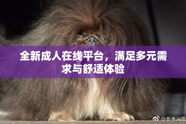 全新成人在线平台，满足多元需求与舒适体验