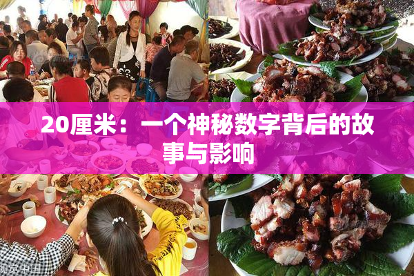 20厘米：一个神秘数字背后的故事与影响