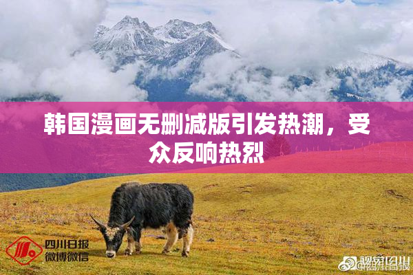 韩国漫画无删减版引发热潮，受众反响热烈