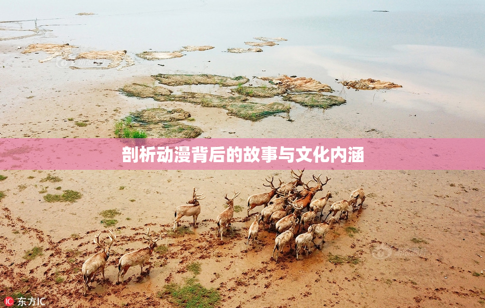 剖析动漫背后的故事与文化内涵