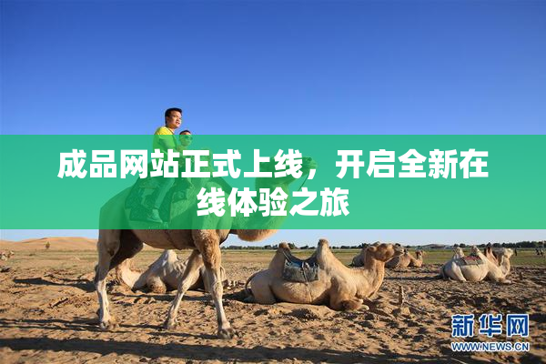 成品网站正式上线，开启全新在线体验之旅