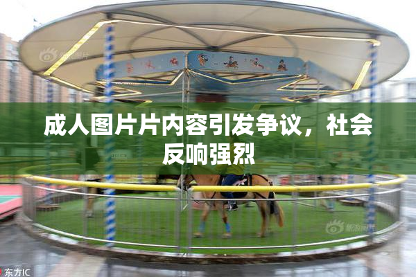 成人图片片内容引发争议，社会反响强烈