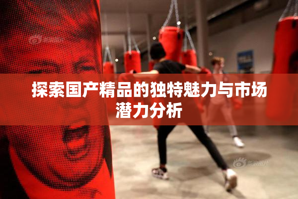 探索国产精品的独特魅力与市场潜力分析