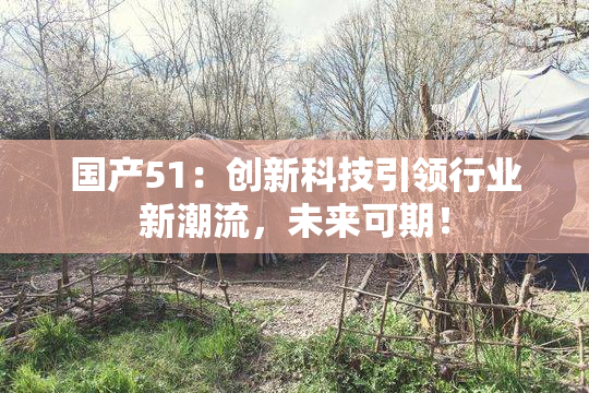 国产51：创新科技引领行业新潮流，未来可期！