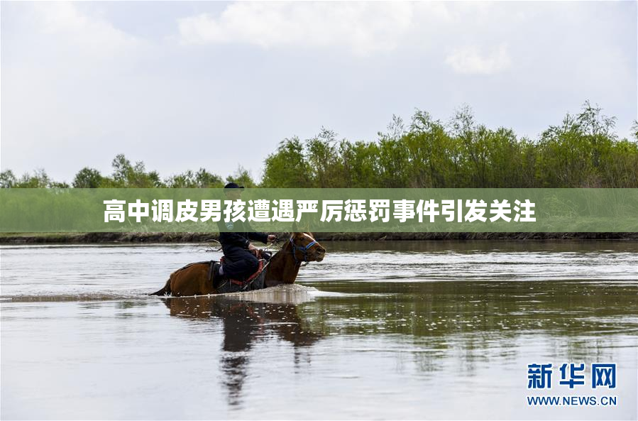 高中调皮男孩遭遇严厉惩罚事件引发关注