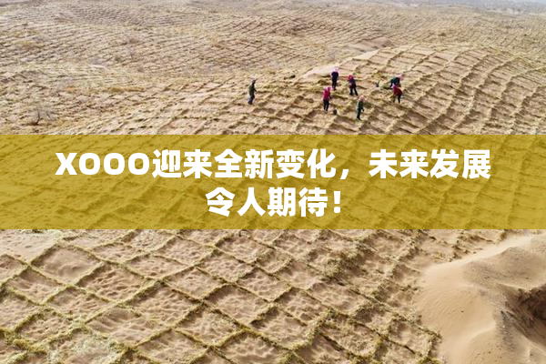 XOOO迎来全新变化，未来发展令人期待！