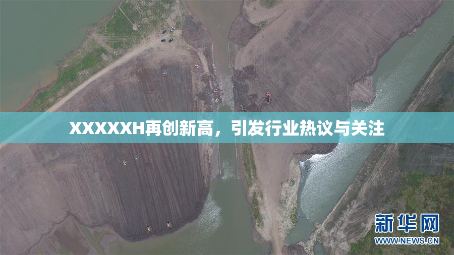 XXXXXH再创新高，引发行业热议与关注
