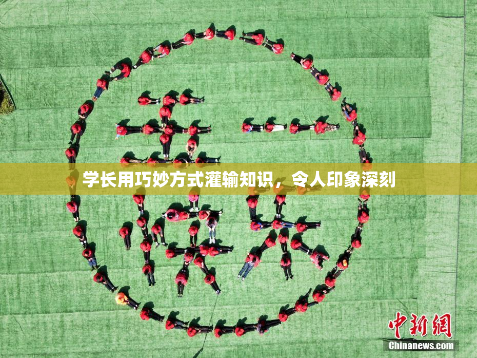 学长用巧妙方式灌输知识，令人印象深刻