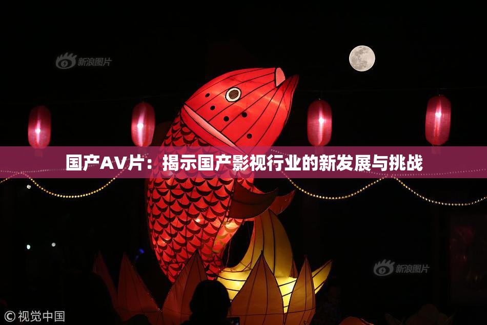 国产AV片：揭示国产影视行业的新发展与挑战