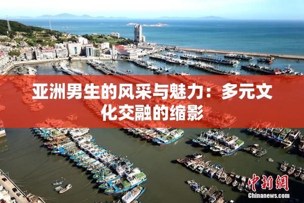 亚洲男生的风采与魅力：多元文化交融的缩影