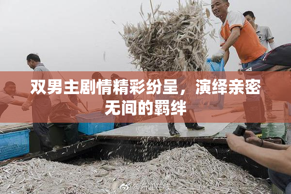 双男主剧情精彩纷呈，演绎亲密无间的羁绊