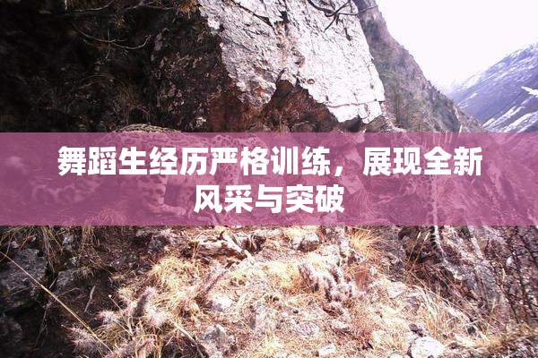 舞蹈生经历严格训练，展现全新风采与突破