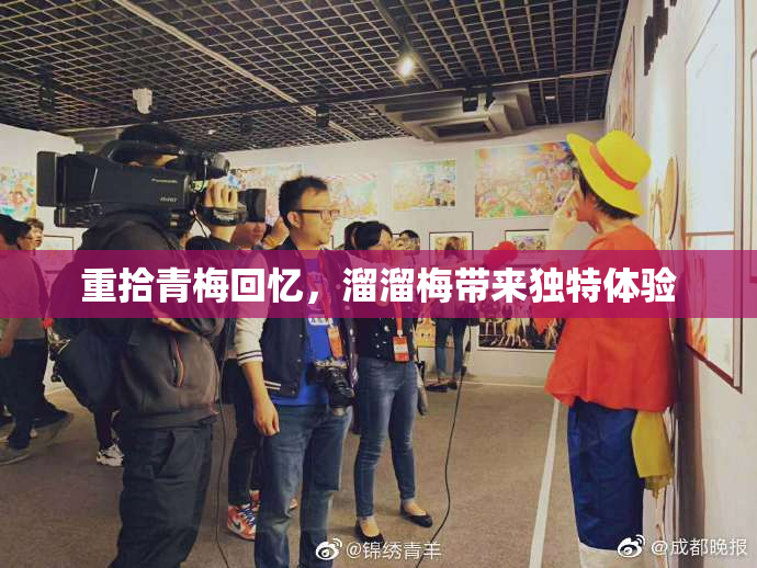 重拾青梅回忆，溜溜梅带来独特体验