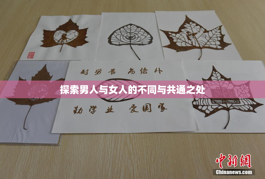 探索男人与女人的不同与共通之处