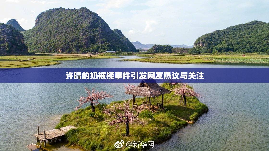 许晴的奶被揉事件引发网友热议与关注