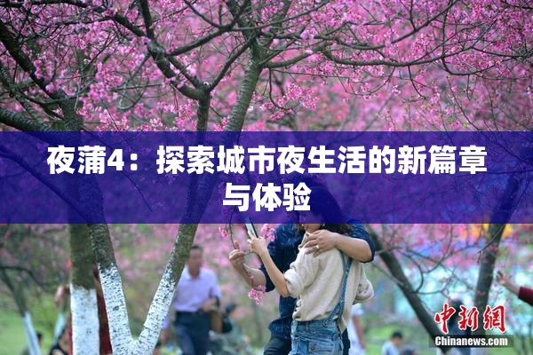 夜蒲4：探索城市夜生活的新篇章与体验