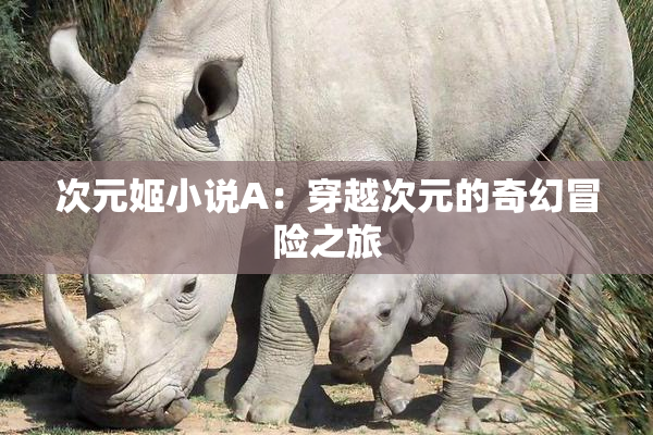 次元姬小说A：穿越次元的奇幻冒险之旅