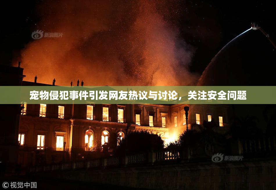 宠物侵犯事件引发网友热议与讨论，关注安全问题