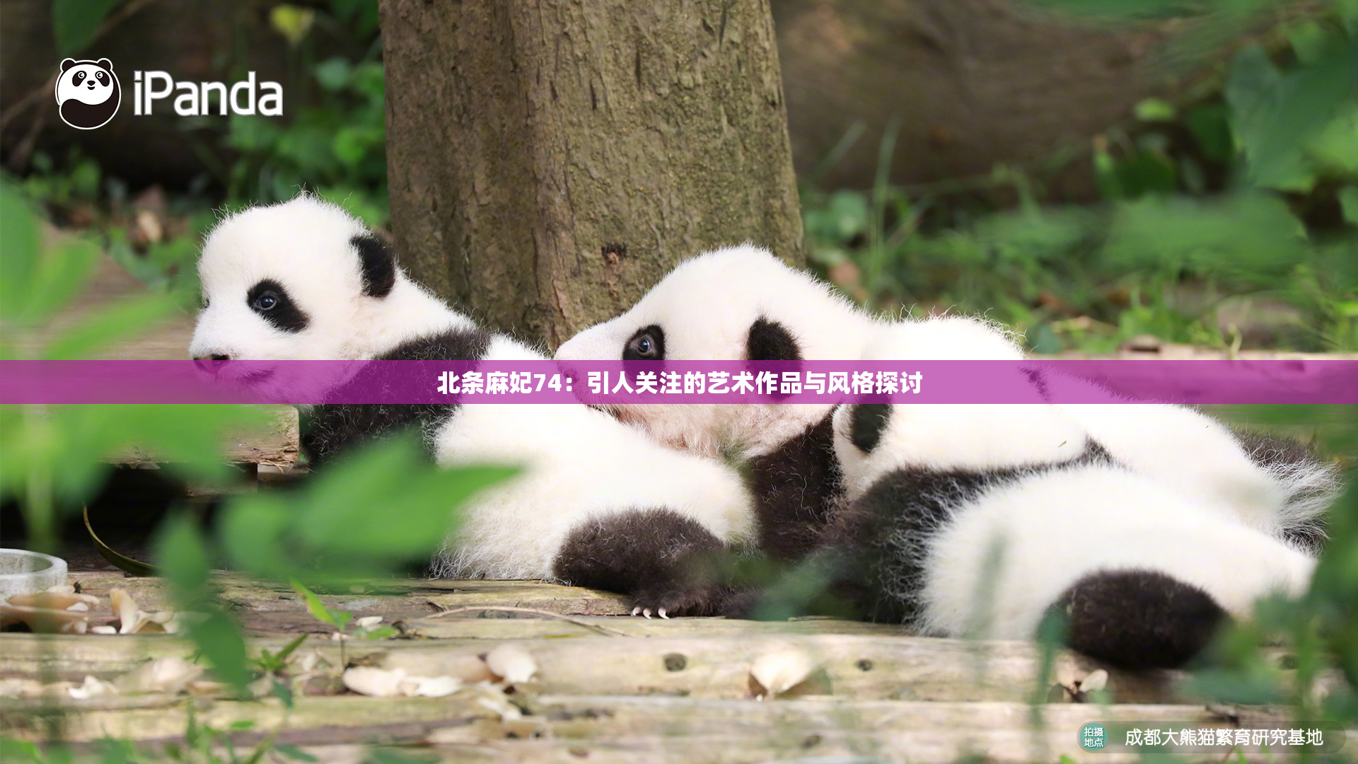 北条麻妃74：引人关注的艺术作品与风格探讨
