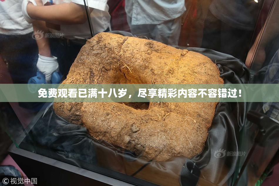 免费观看已满十八岁，尽享精彩内容不容错过！