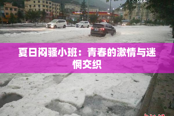 夏日闷骚小班：青春的激情与迷惘交织
