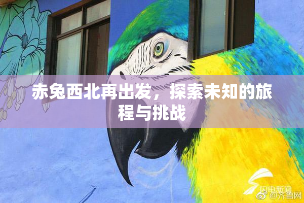 赤兔西北再出发，探索未知的旅程与挑战