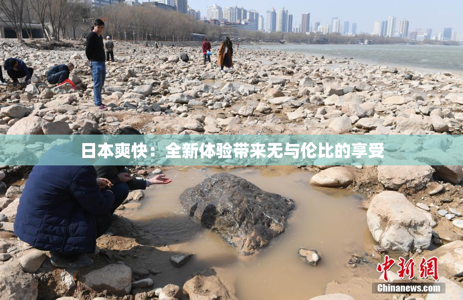 日本爽快：全新体验带来无与伦比的享受