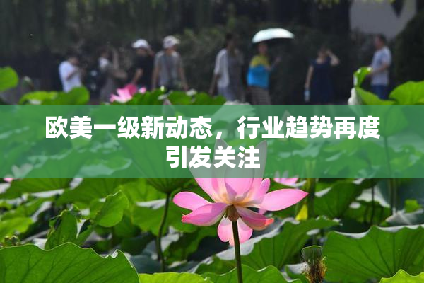 欧美一级新动态，行业趋势再度引发关注