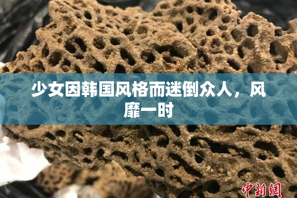 少女因韩国风格而迷倒众人，风靡一时