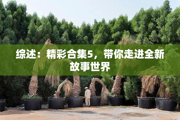 综述：精彩合集5，带你走进全新故事世界