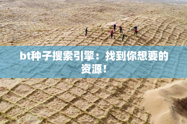 bt种子搜索引擎：找到你想要的资源！