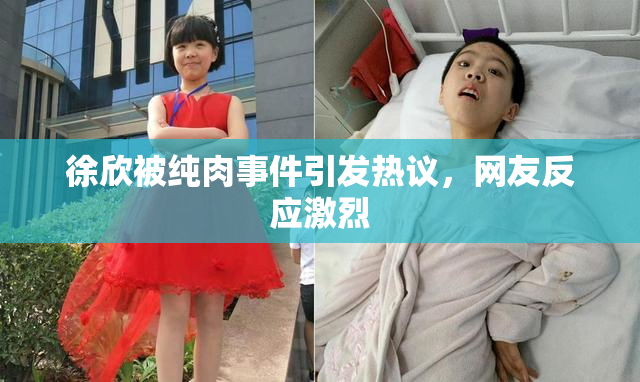 徐欣被纯肉事件引发热议，网友反应激烈