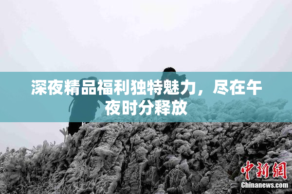 深夜精品福利独特魅力，尽在午夜时分释放