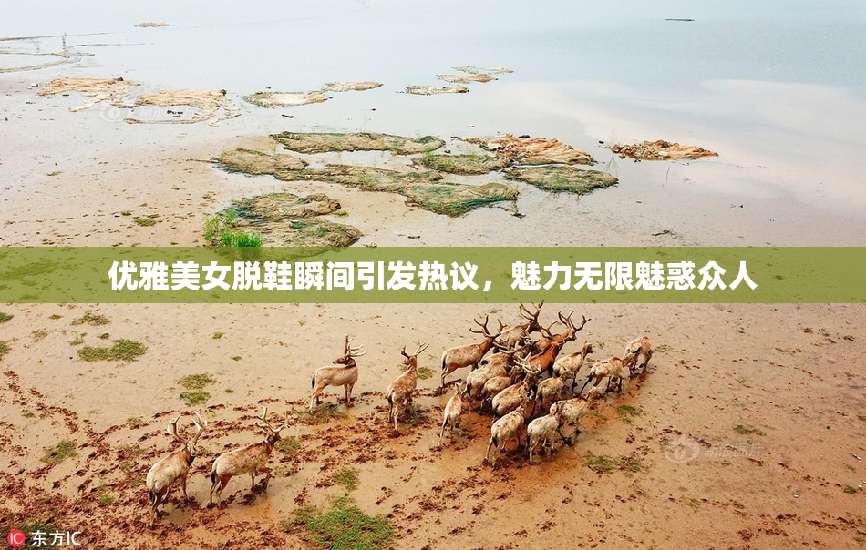 优雅美女脱鞋瞬间引发热议，魅力无限魅惑众人