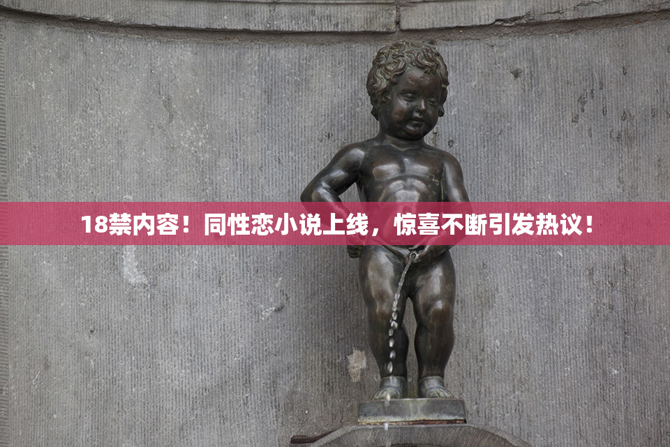 18禁内容！同性恋小说上线，惊喜不断引发热议！