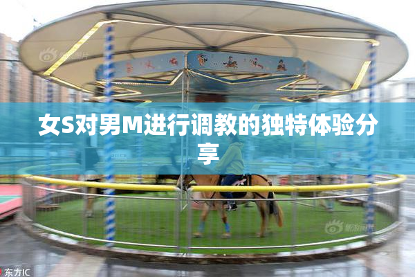 女S对男M进行调教的独特体验分享
