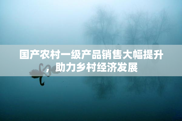 国产农村一级产品销售大幅提升，助力乡村经济发展