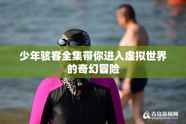 少年骇客全集带你进入虚拟世界的奇幻冒险