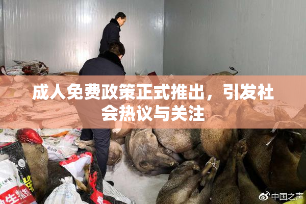 成人免费政策正式推出，引发社会热议与关注