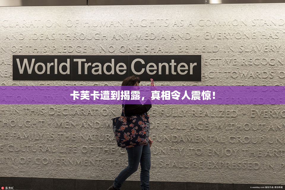 卡芙卡遭到揭露，真相令人震惊！