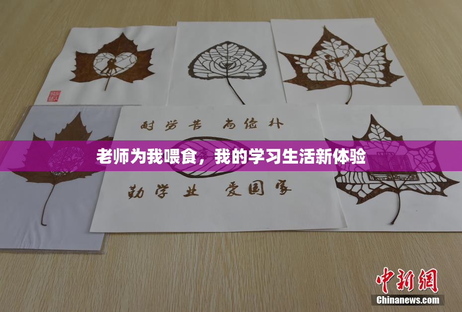 老师为我喂食，我的学习生活新体验