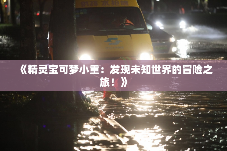 《精灵宝可梦小重：发现未知世界的冒险之旅！》
