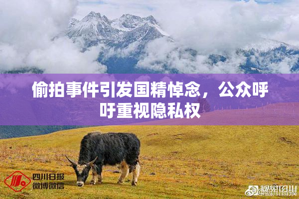 偷拍事件引发国精悼念，公众呼吁重视隐私权