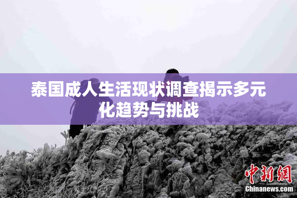 泰国成人生活现状调查揭示多元化趋势与挑战