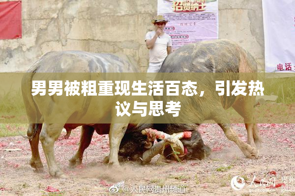 男男被粗重现生活百态，引发热议与思考