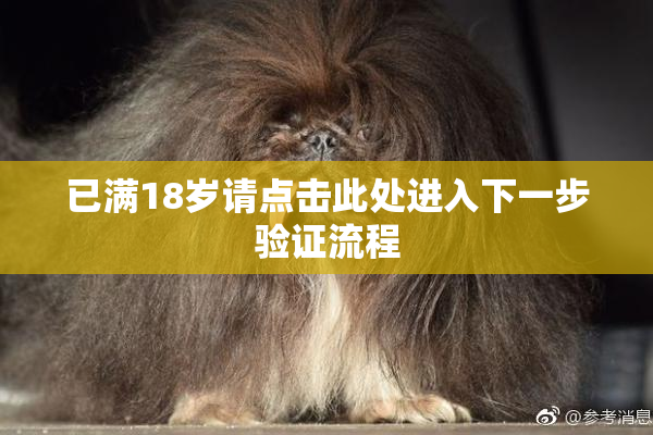 已满18岁请点击此处进入下一步验证流程
