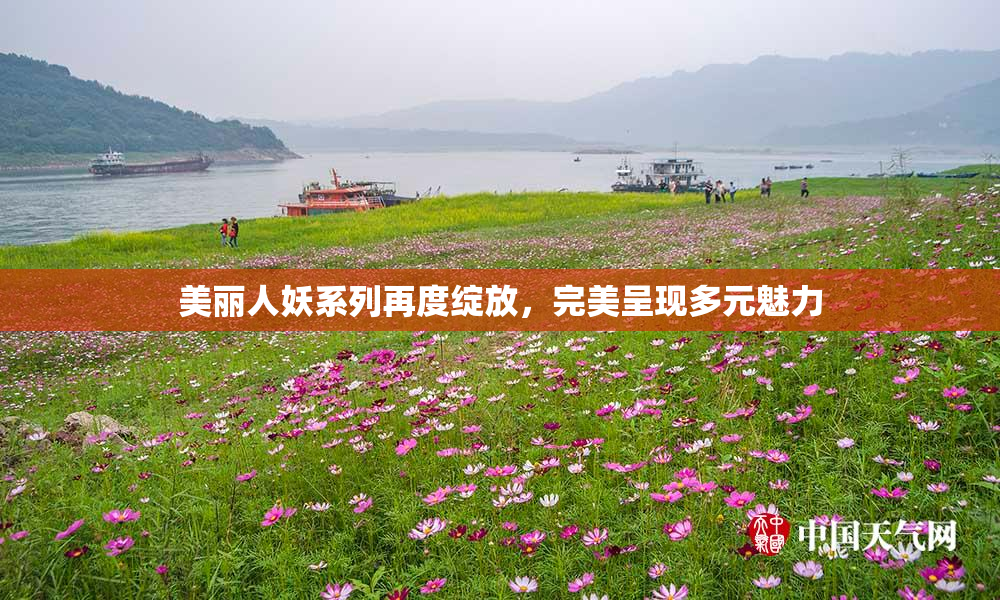 美丽人妖系列再度绽放，完美呈现多元魅力