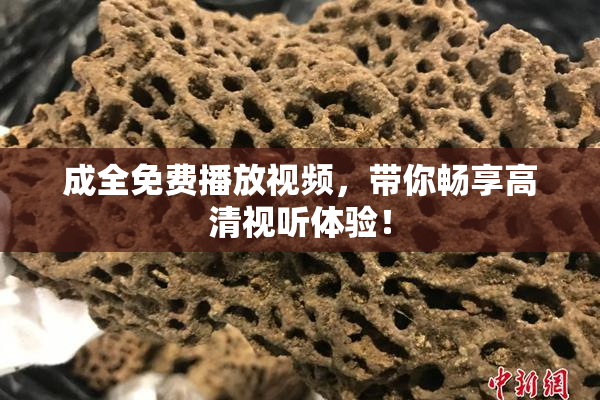 成全免费播放视频，带你畅享高清视听体验！