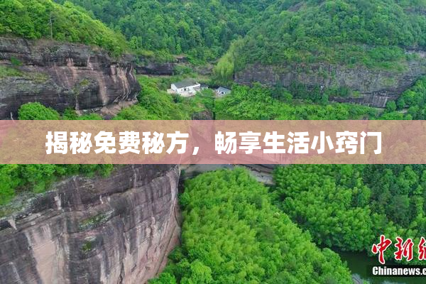 揭秘免费秘方，畅享生活小窍门